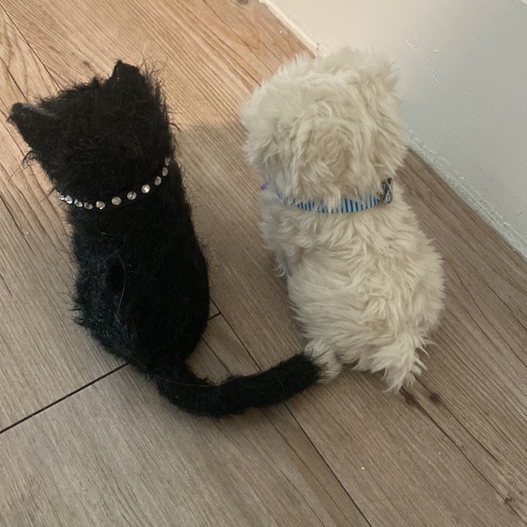 American Girl Doll Dog and Cat - Picture 2 of 2